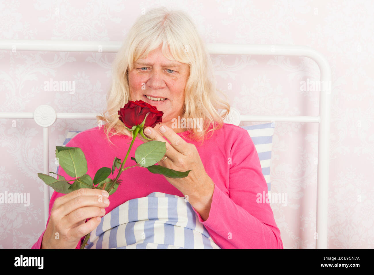 Stets gut gelaunte Frau in rosa Pyjama im Bett sitzend, mit einer roten rose Stockfoto