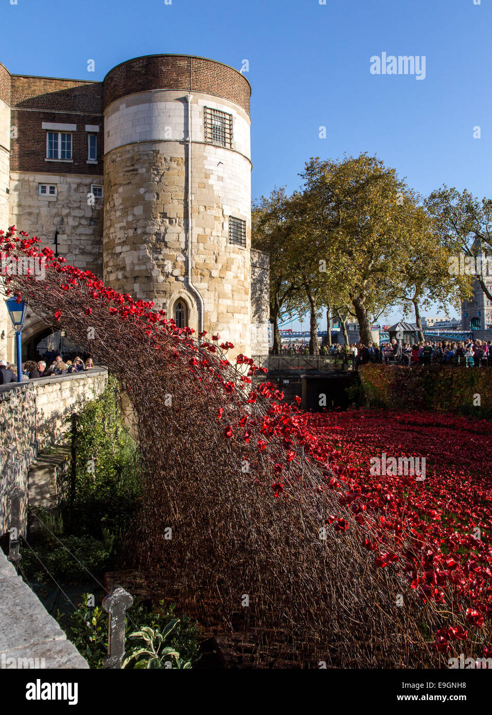 Blut gefegt, Länder und Meere rot - Mohn-Tower von London UK Stockfoto