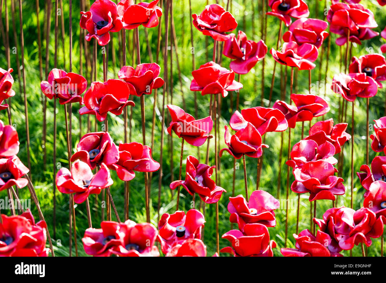 Blut gefegt, Länder und Meere rot - Mohn-Tower von London UK Stockfoto