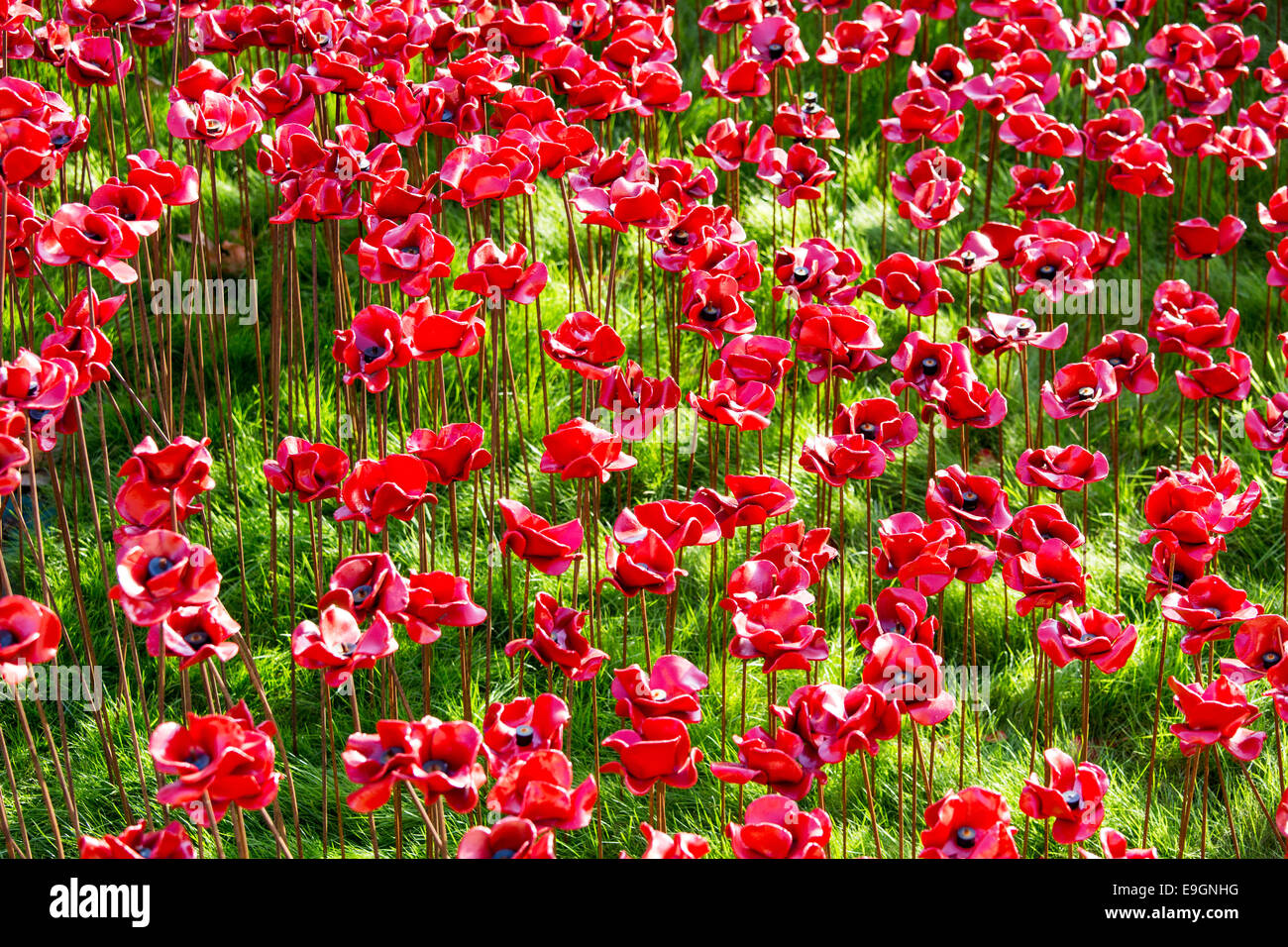 Blut gefegt, Länder und Meere rot - Mohn-Tower von London UK Stockfoto