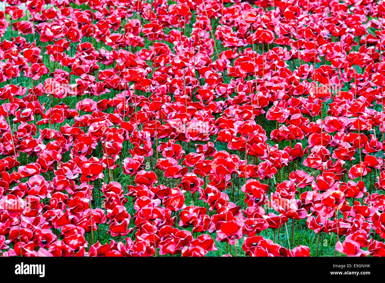 Blut gefegt, Länder und Meere rot - Mohn-Tower von London UK Stockfoto