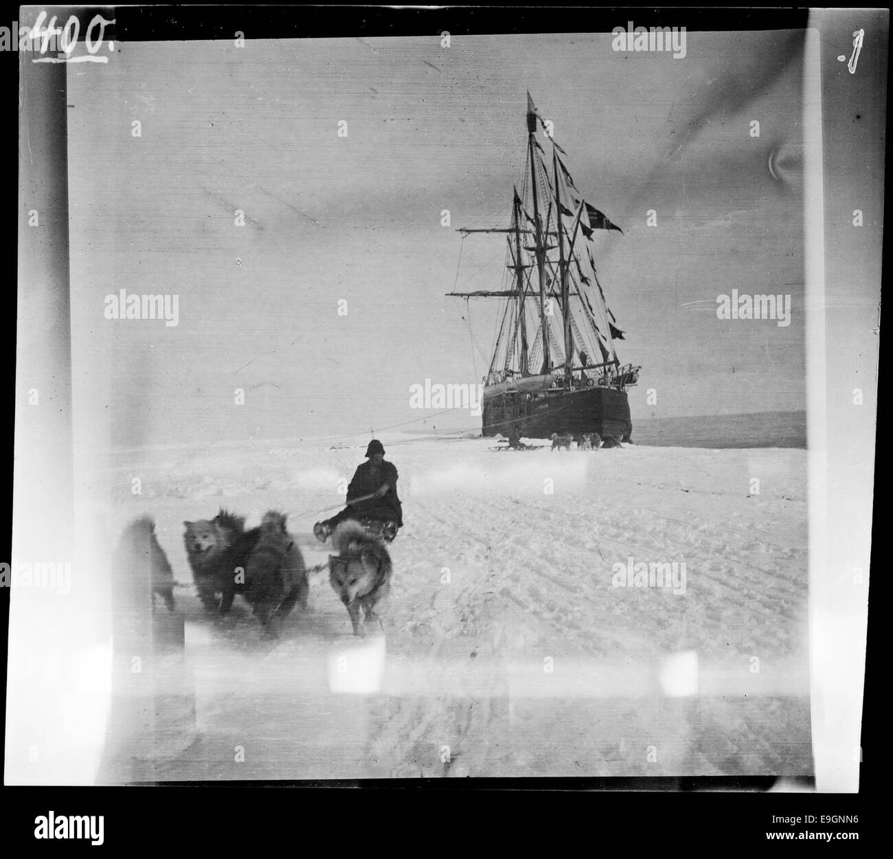 Das Schiff Fram am Eisrand in Hvalbukta während Roald Amundsens Polarexpedition 1911. Das Foto zeigt das ikonische Schiff, das Amundsen bei der Erkundung der Arktis verwendet hat, mit Hunden, die als Teil der Expedition zur Seite stehen. Stockfoto