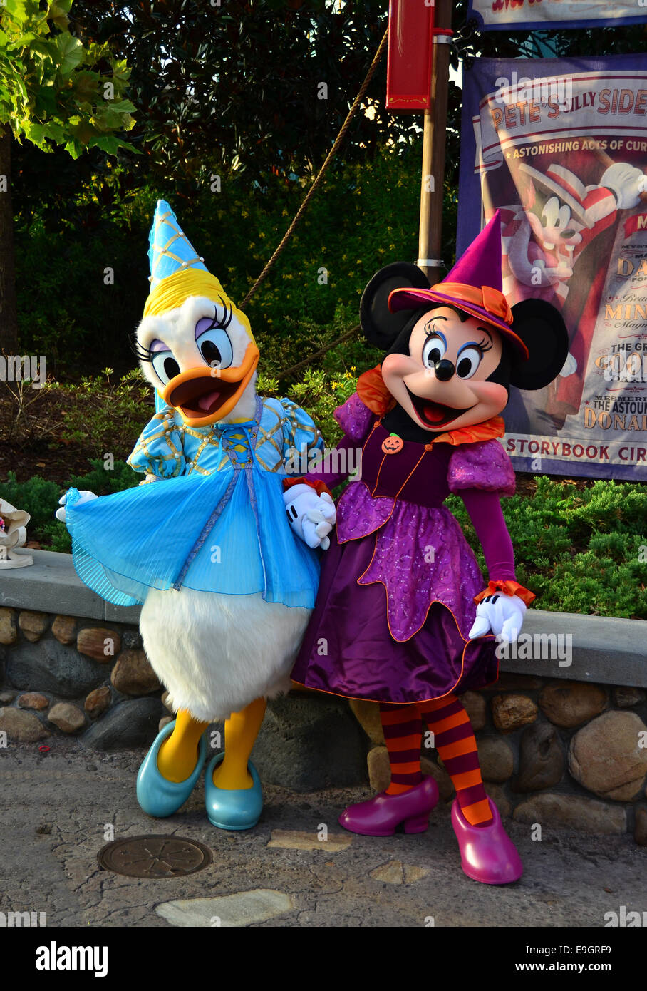 Minnie Mouse und Daisy Duck im Disneys Magic Kingdom, Orlando Florida. Stockfoto