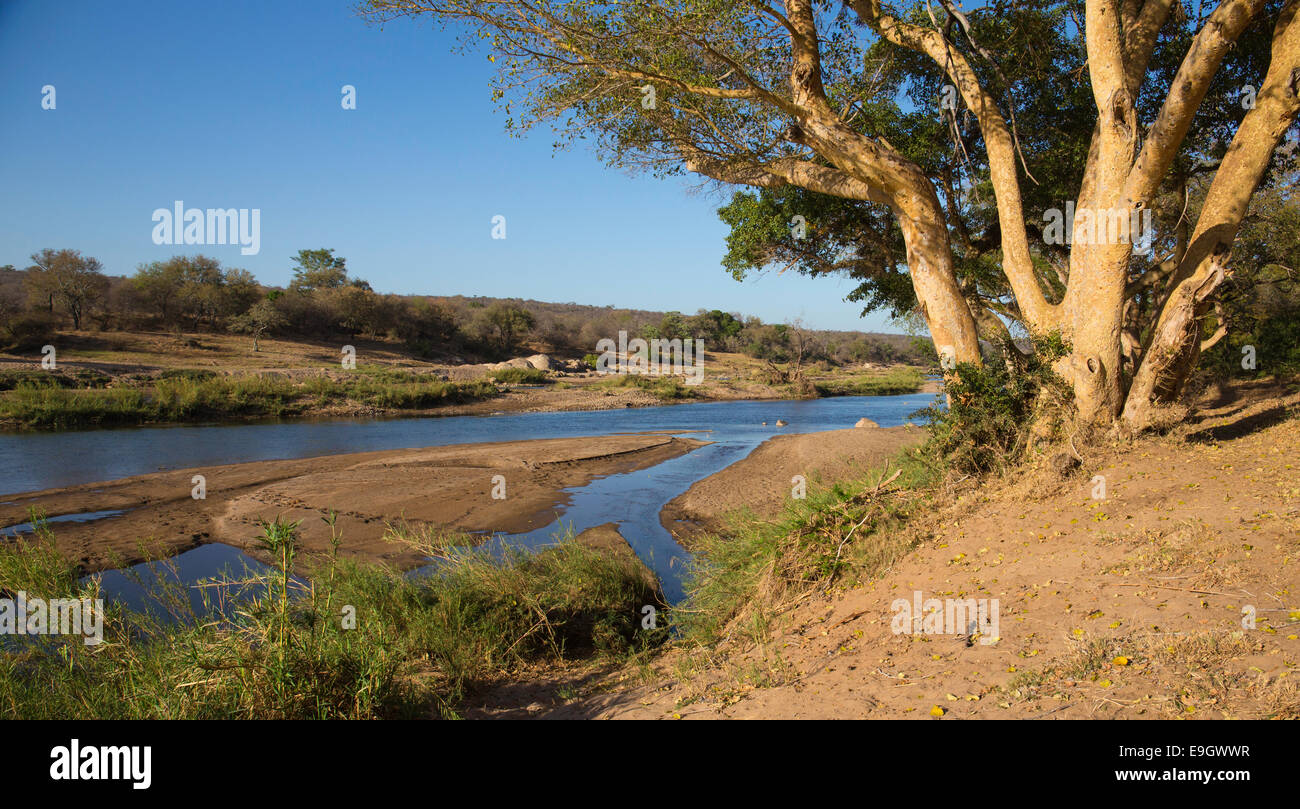 Olifants river Stockfoto