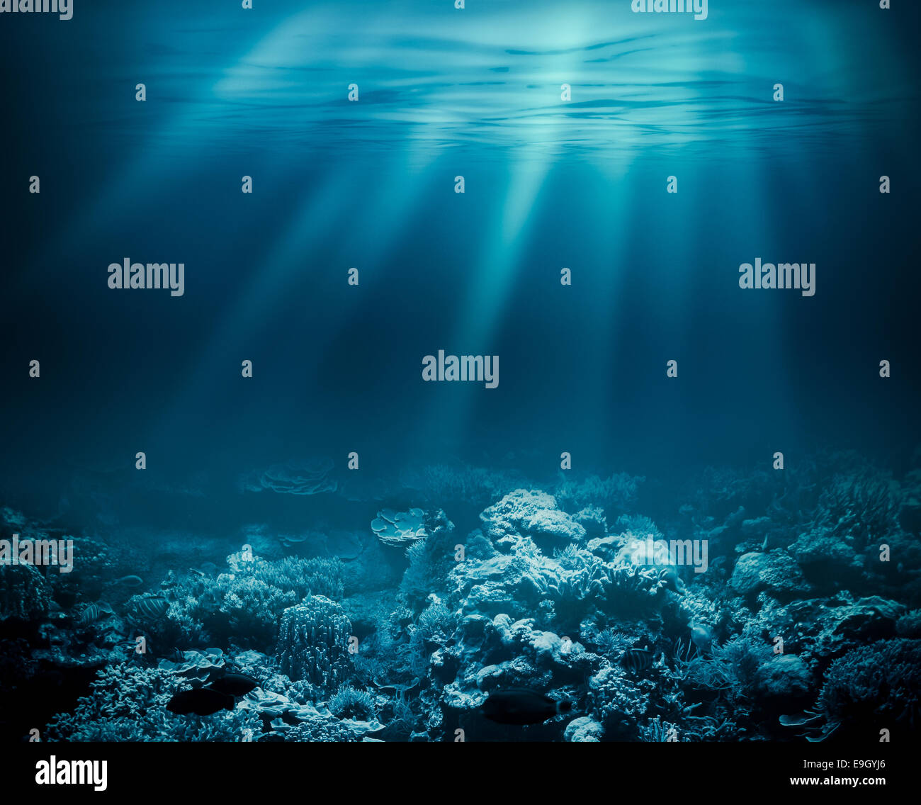 Tiefes Meer oder Ozean unter Wasser mit Korallenriff als Hintergrund für Ihr design Stockfoto