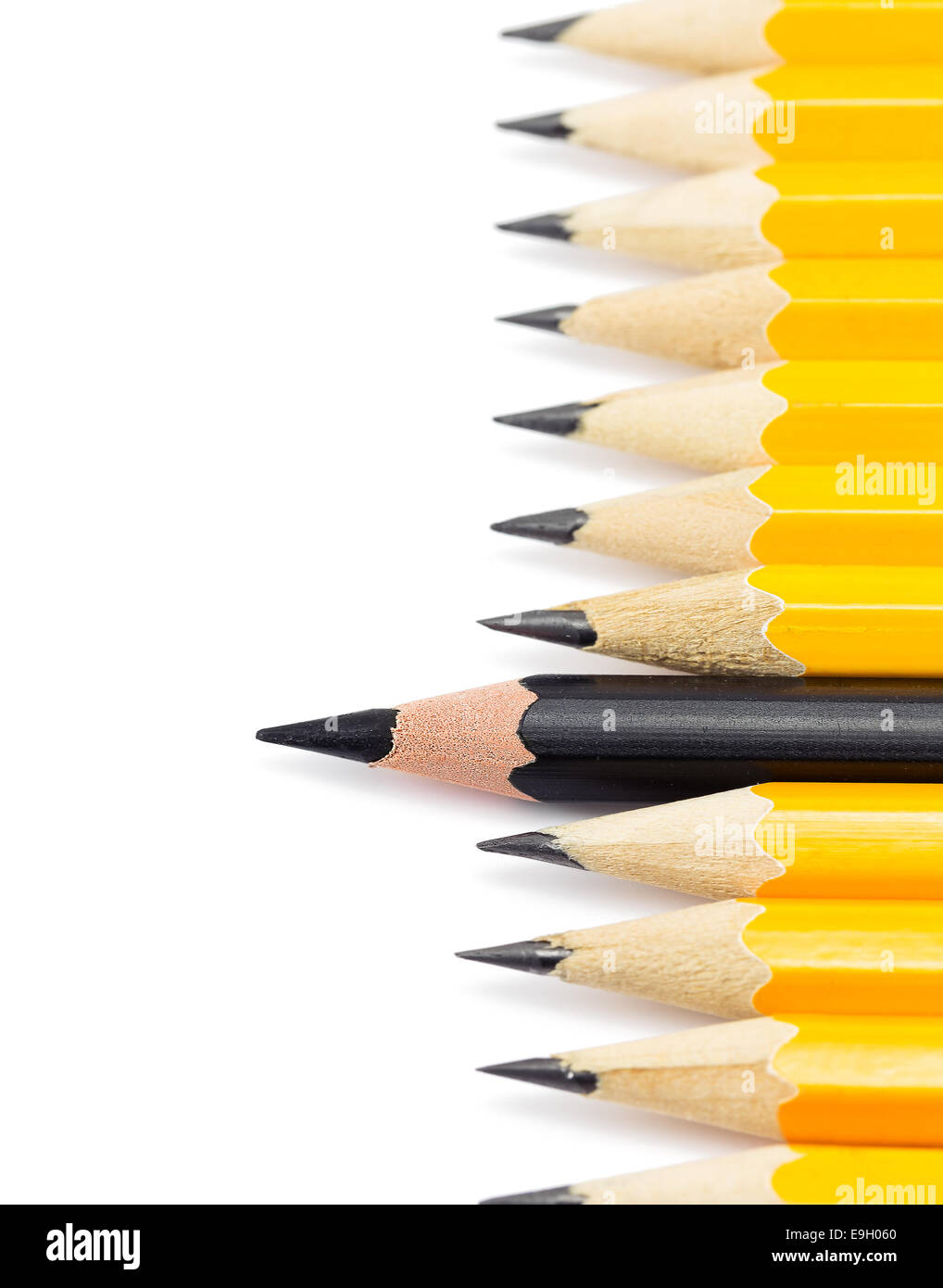 Gelbe Bleistifte mit auf schwarzen Stift auf weißem Hintergrund Stockfoto