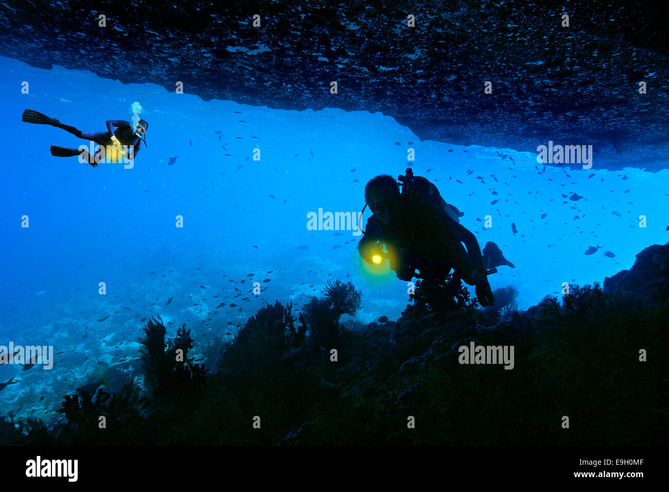Taucher in einer Unterwasserhöhle zusammengesetztes Bild, Raja Ampat, West Papua, Indonesien Stockfoto