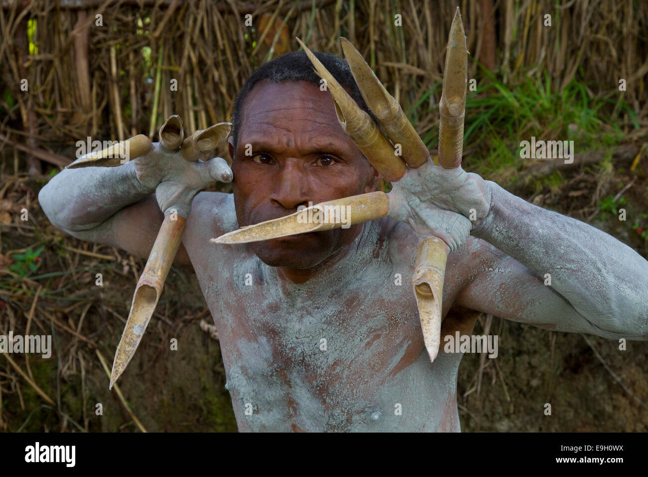 Mudman ohne Maske zeigt seine Krallen Stockfoto