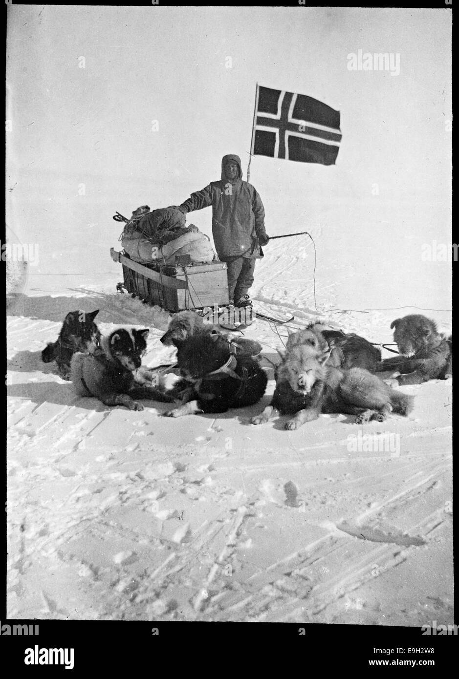 Oscar Wisting med Hundespannet Sitt På Sydpolen, 14.12.1911 Stockfoto