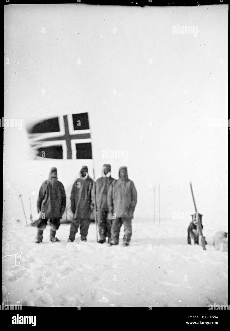 Oscar Wisting, Olav Bjaaland, Sverre Hassel Og Roald Amundsen På Sydpolen 14.12.1911 Stockfoto