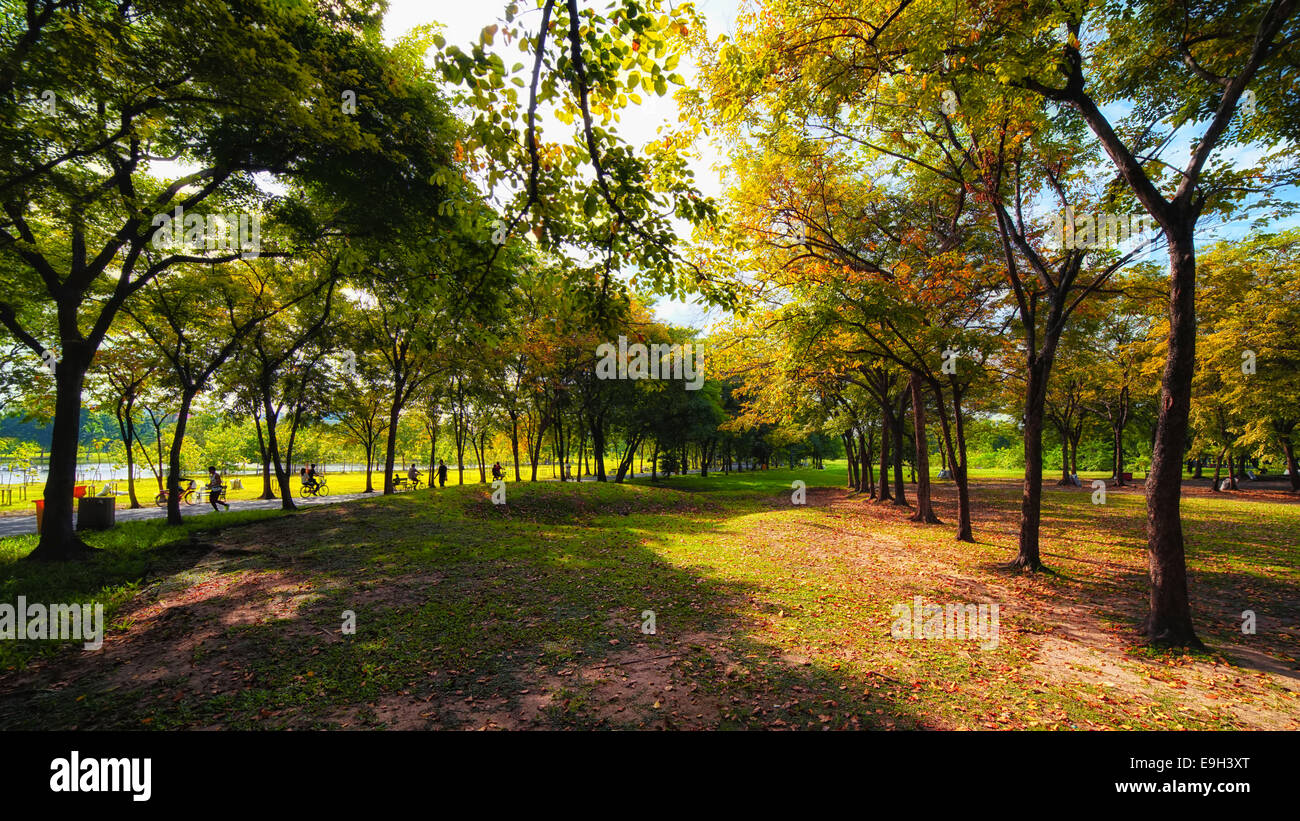 Grünen Stadtpark am sonnigen Sommertag Stockfoto