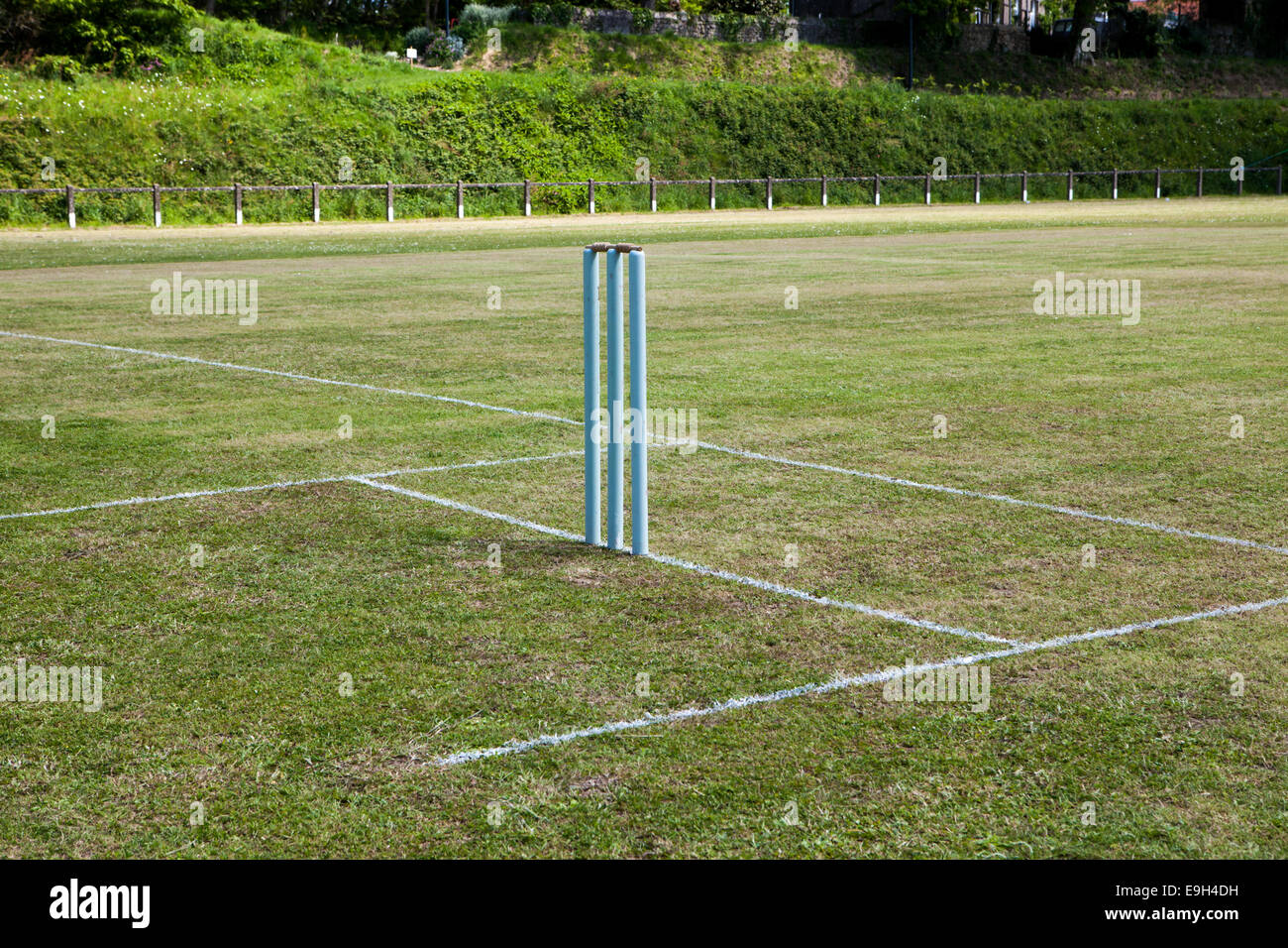 Cricket Wicket am frisch zubereiteten strip Stockfoto