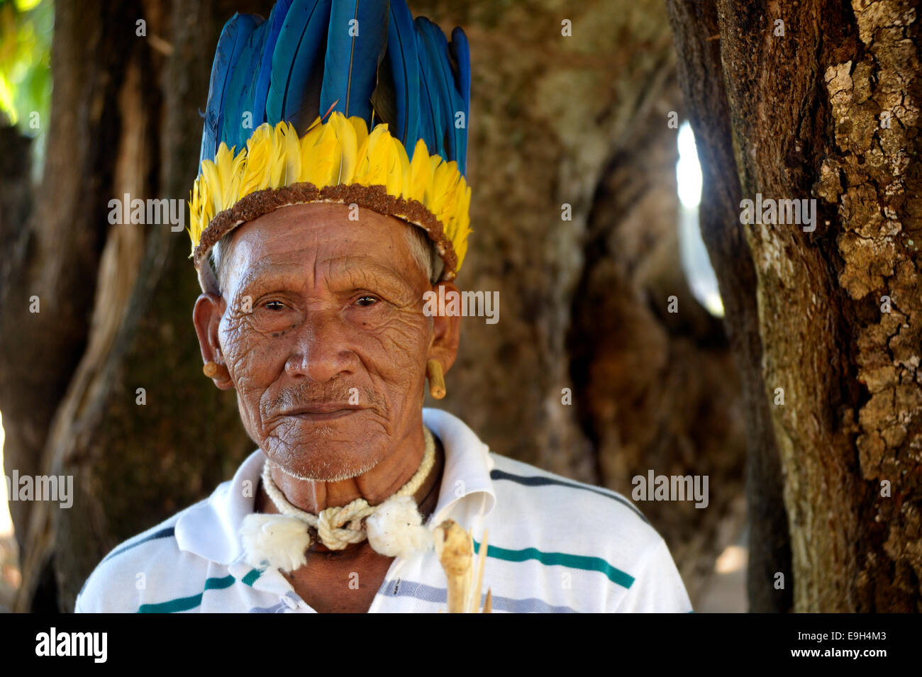 Cacique der Xavante Menschen, indigenen Stammes, mit dem Kopfschmuck eines Häuptlings Primavera Leste, Mato Grosso, Brasilien Stockfoto