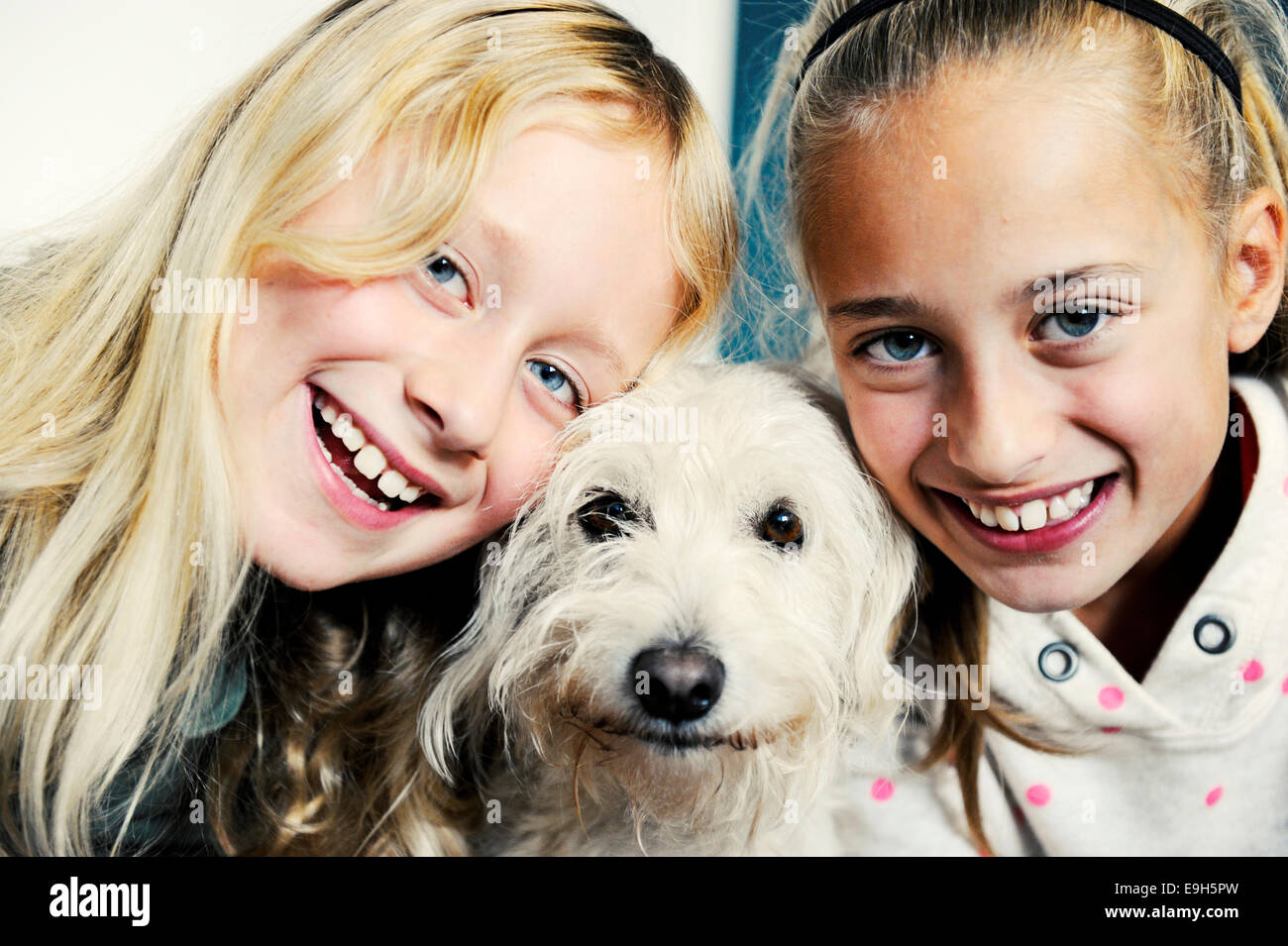 Zwei Schwestern, 11 Jahre und 8 Jahre, mit ihrem Hund Stockfoto Zwei Schwestern, 11 Jahre und 8 Jahre, mit ihrem Hund Stockfoto