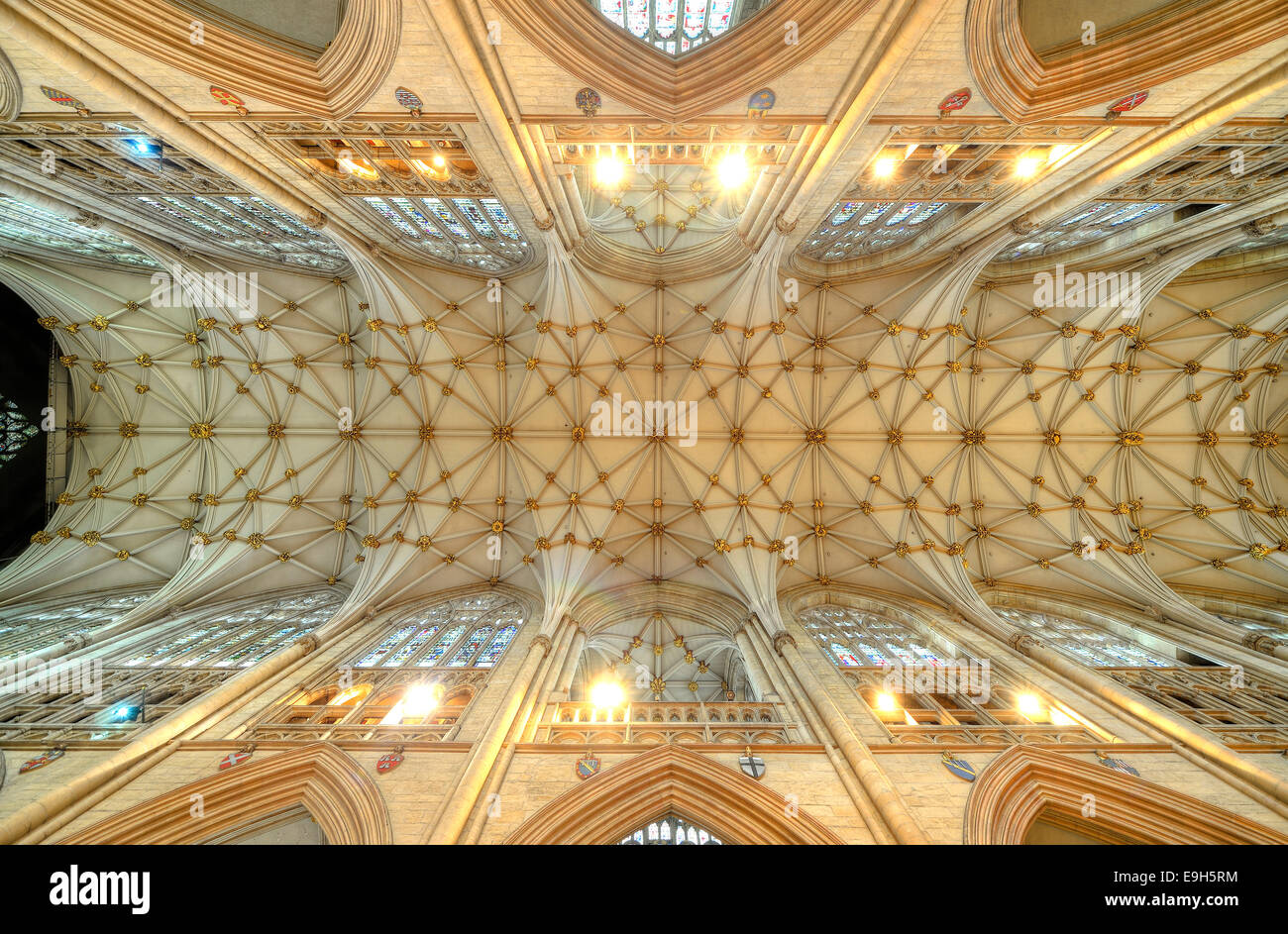 Netzrippengewölbe, York Minster, York, North Yorkshire, England, Vereinigtes Königreich Stockfoto