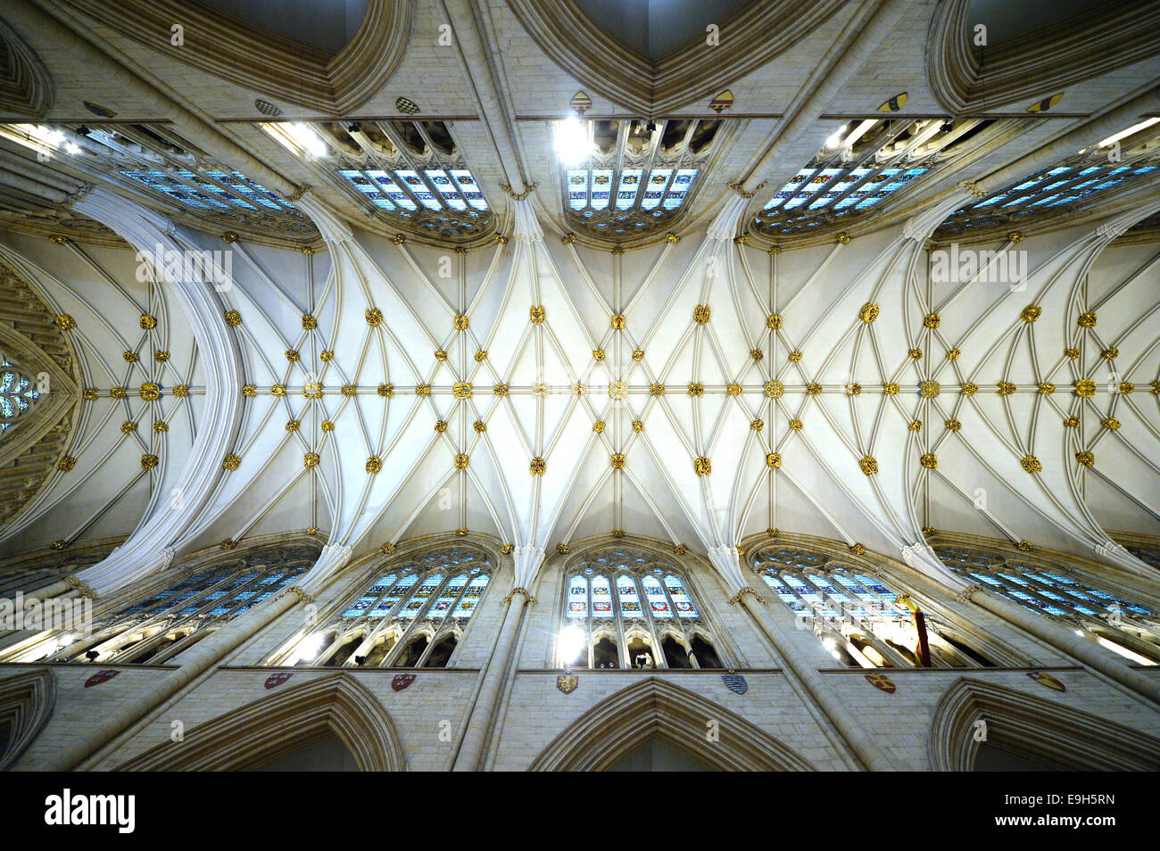NET, die Gewölbe des Kirchenschiffs, York Minster, York, North Yorkshire, England, Vereinigtes Königreich Stockfoto