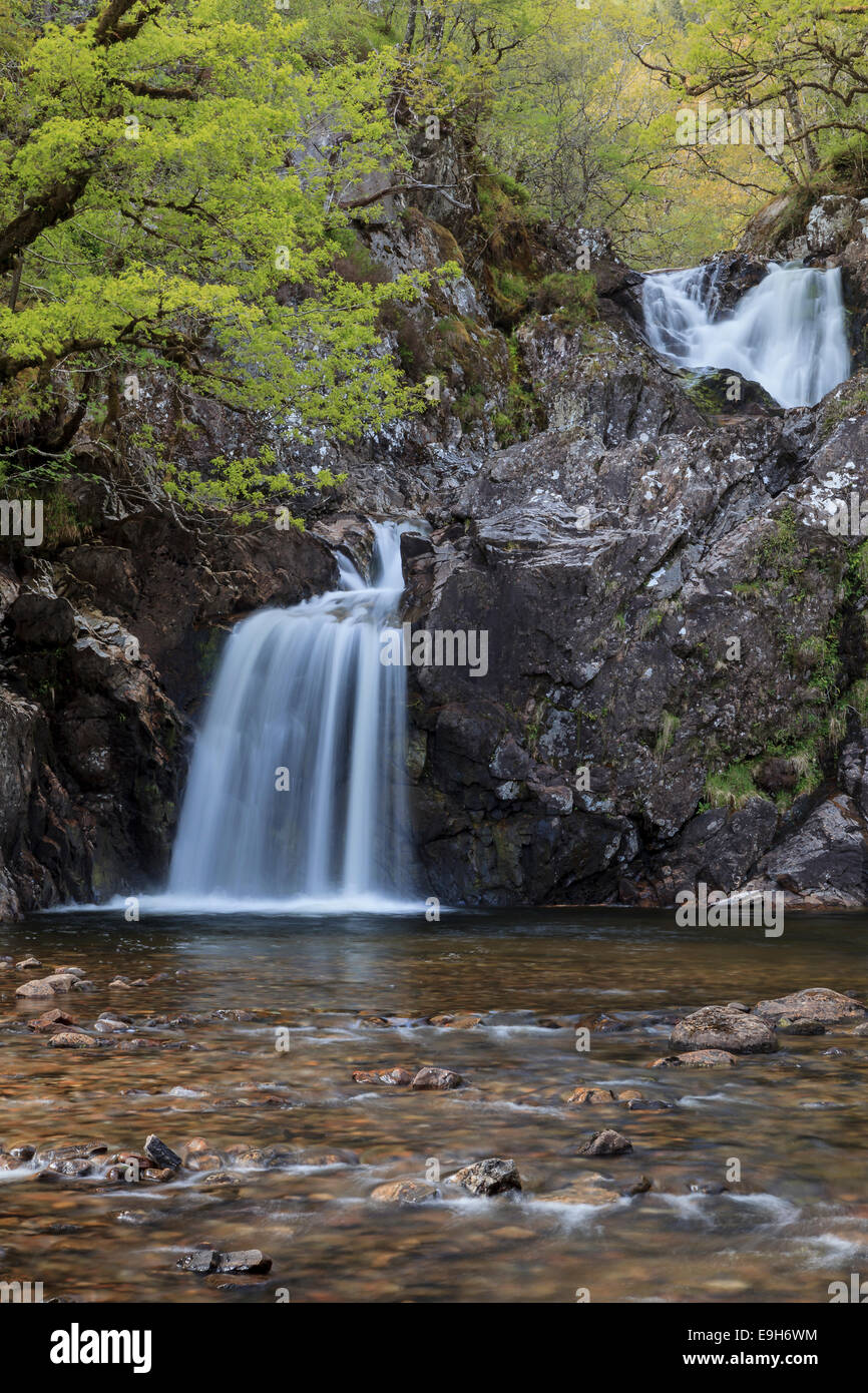 Wasserfall in einem Wald, Drumnadrochit, Schottland, Vereinigtes Königreich Stockfoto