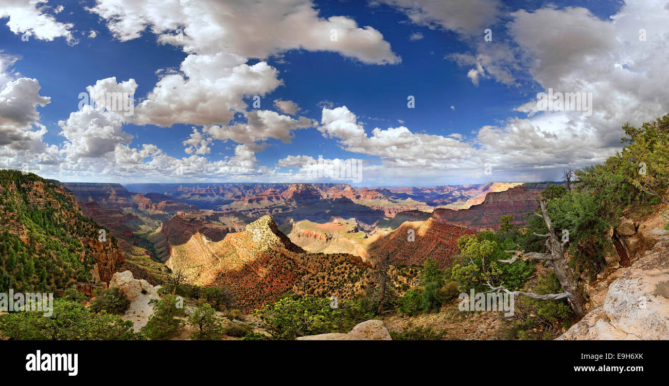 Blick auf den Grand Canyon, Anzeigen Punkt Mather Point, South Rim, Grand Canyon, in Tusayan, Arizona, USA Stockfoto