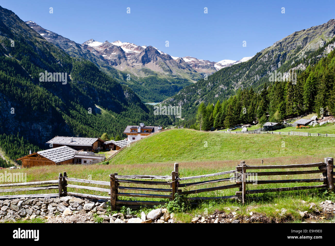 Die Kornhof Stallwies Farm im Martelltal Valley, Vinschgau oder Val Venosta, Südtirol, Trentino-Alto Adige, Italien Stockfoto