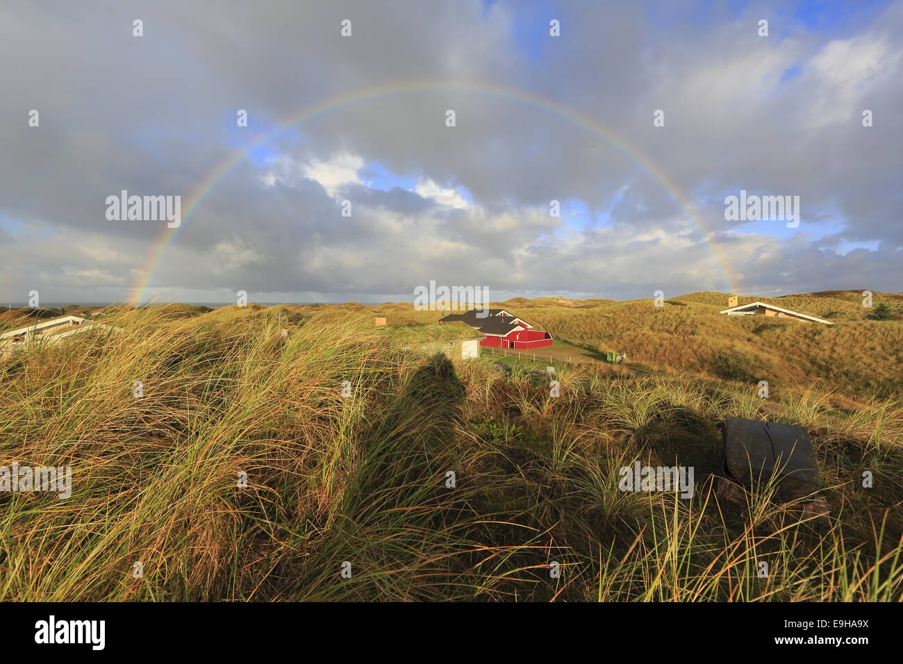 Regenbogen über eine Dünenlandschaft, Nord-Jütland, Dänemark Stockfoto