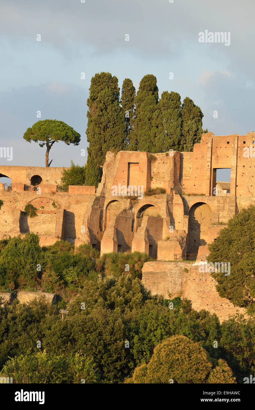 Ruinen der Domus Augustana auf Palatin mit Kiefern (Pinus Pinea), Rom, Latium, Italien Stockfoto