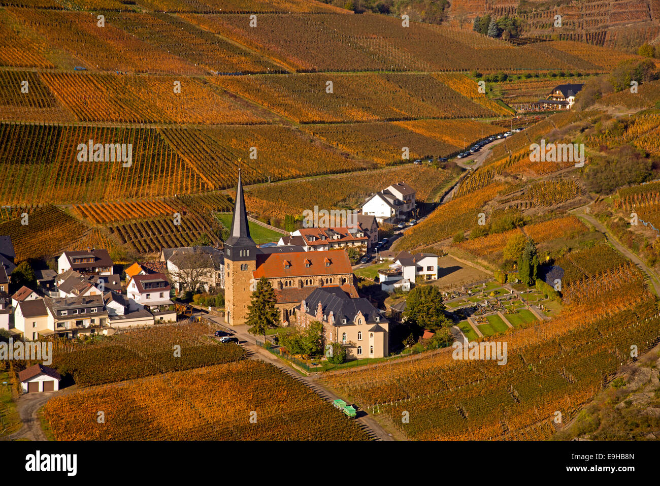 Weinberge im Ahrtal Tal im Herbst, Mayschoss, Rheinland-Pfalz, Deutschland Stockfoto