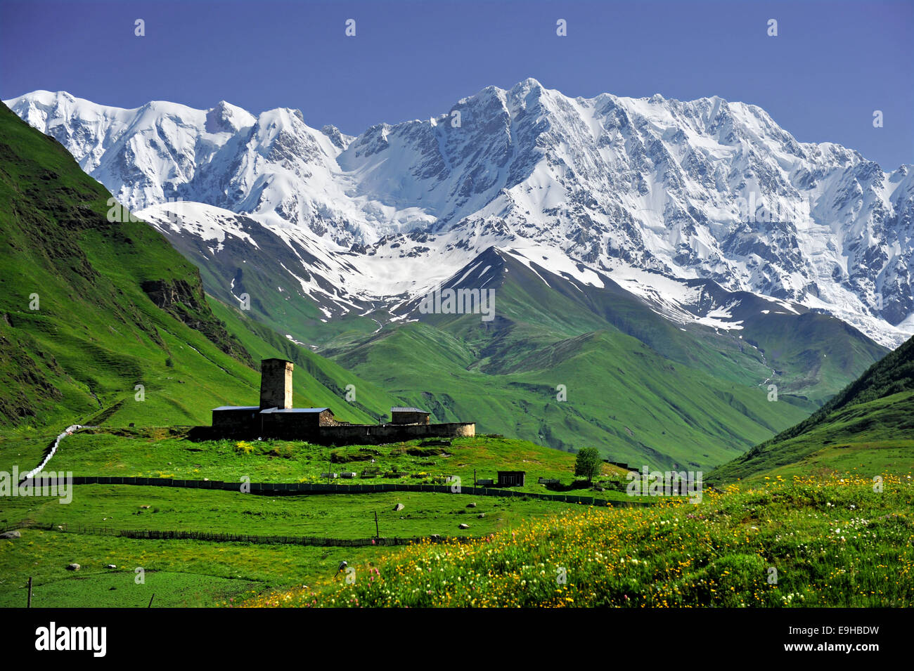 Sommerlandschaft mit Kaukasus Shkhara Berg gesehen von Ushguli Dorf in der oberen Region 