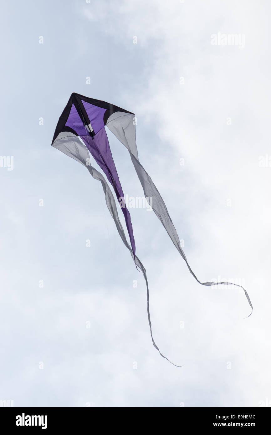 Kites auf ein Drachenfest Stockfoto