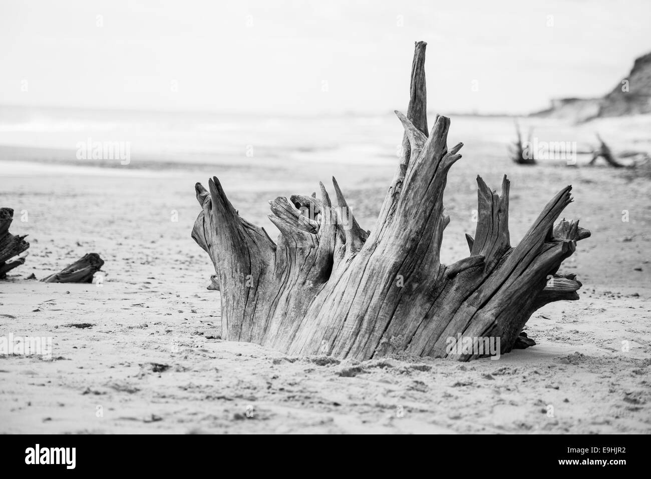 Fußspuren am Strand Schwarz und Weiß Stockfoto