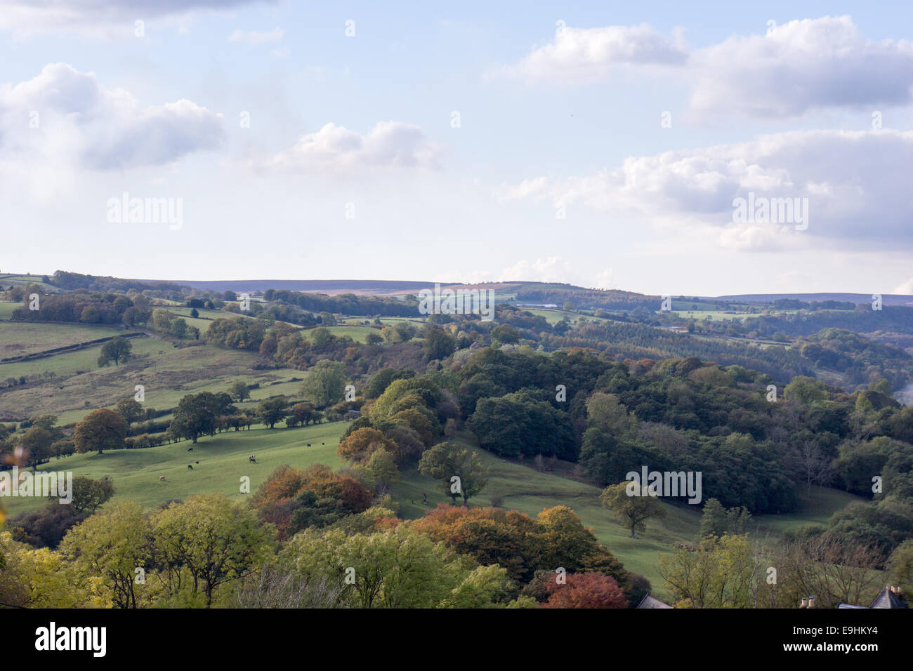 North Yorkshire wolds. Sanfte grüne Hügel und Wälder unter hellem Himmel, die eine friedliche und malerische ländliche Landschaft in sanftem Frühherbstlich einfangen Stockfoto