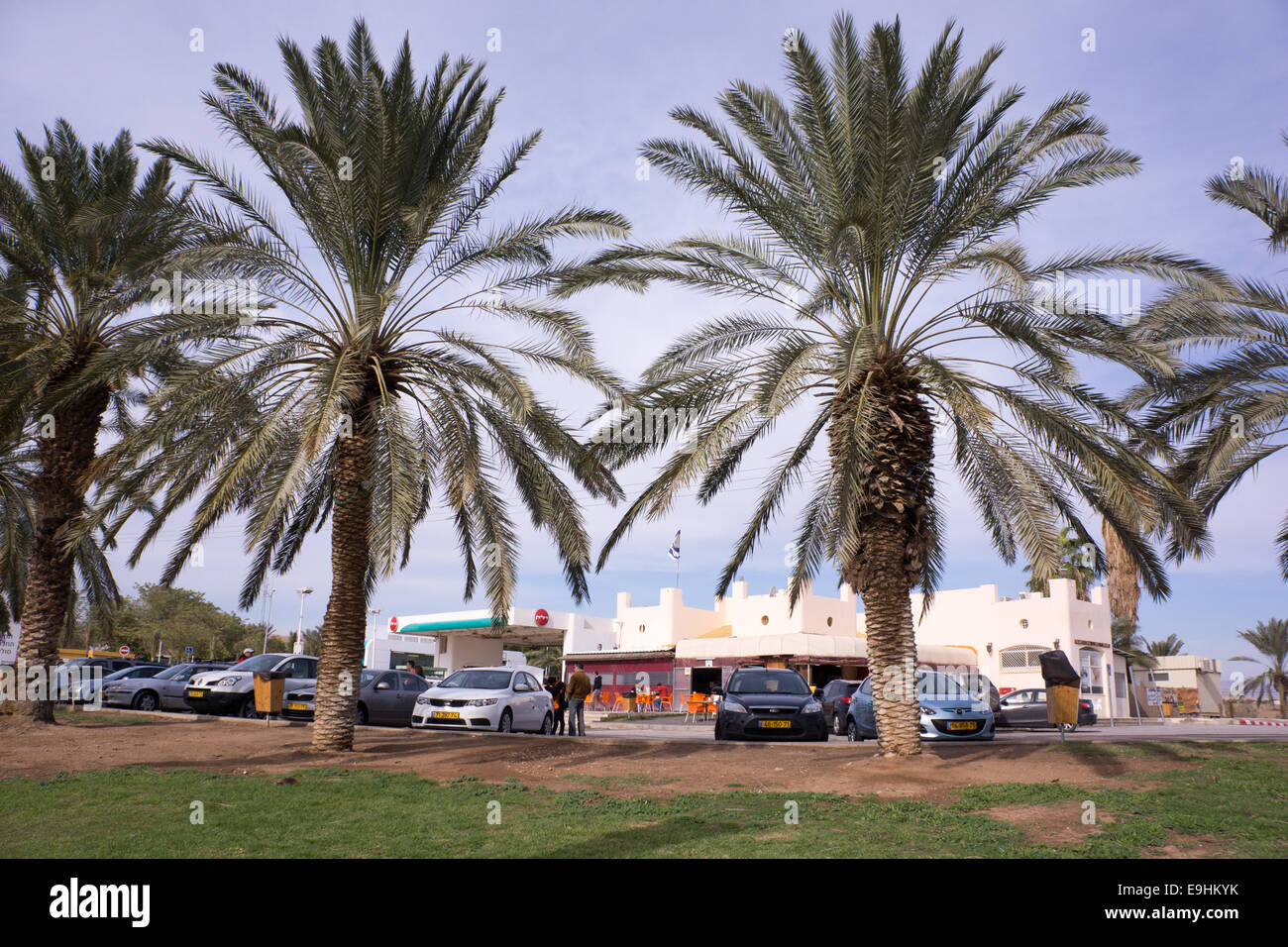 Palmen säumen einen Parkplatz vor einem Straßencafé in der Nähe des Toten Meeres in Israel und schaffen eine helle und entspannte Wüstenatmosphäre. Stockfoto
