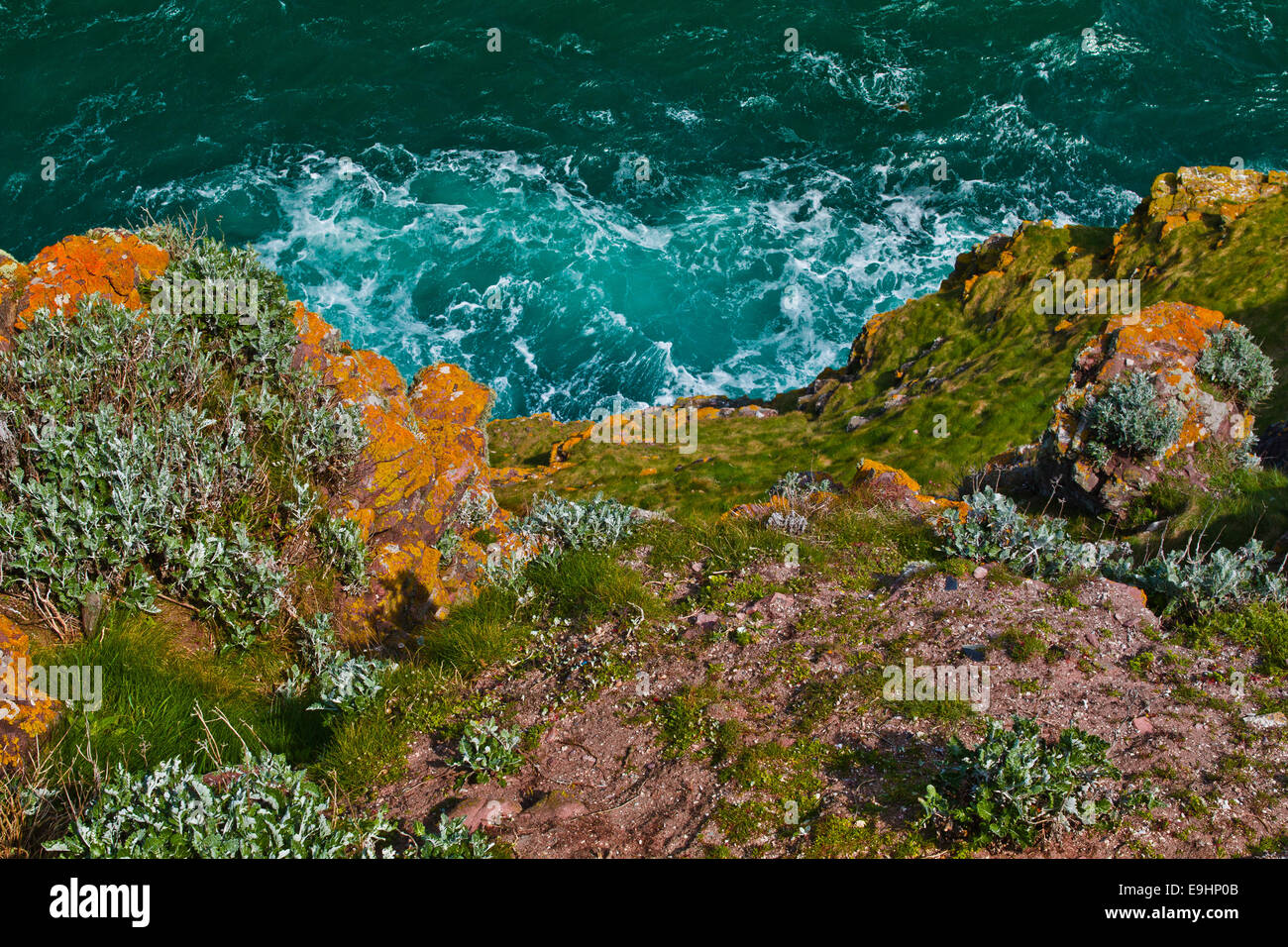 Cap Frehel, Bretagne, Frankreich Stockfoto