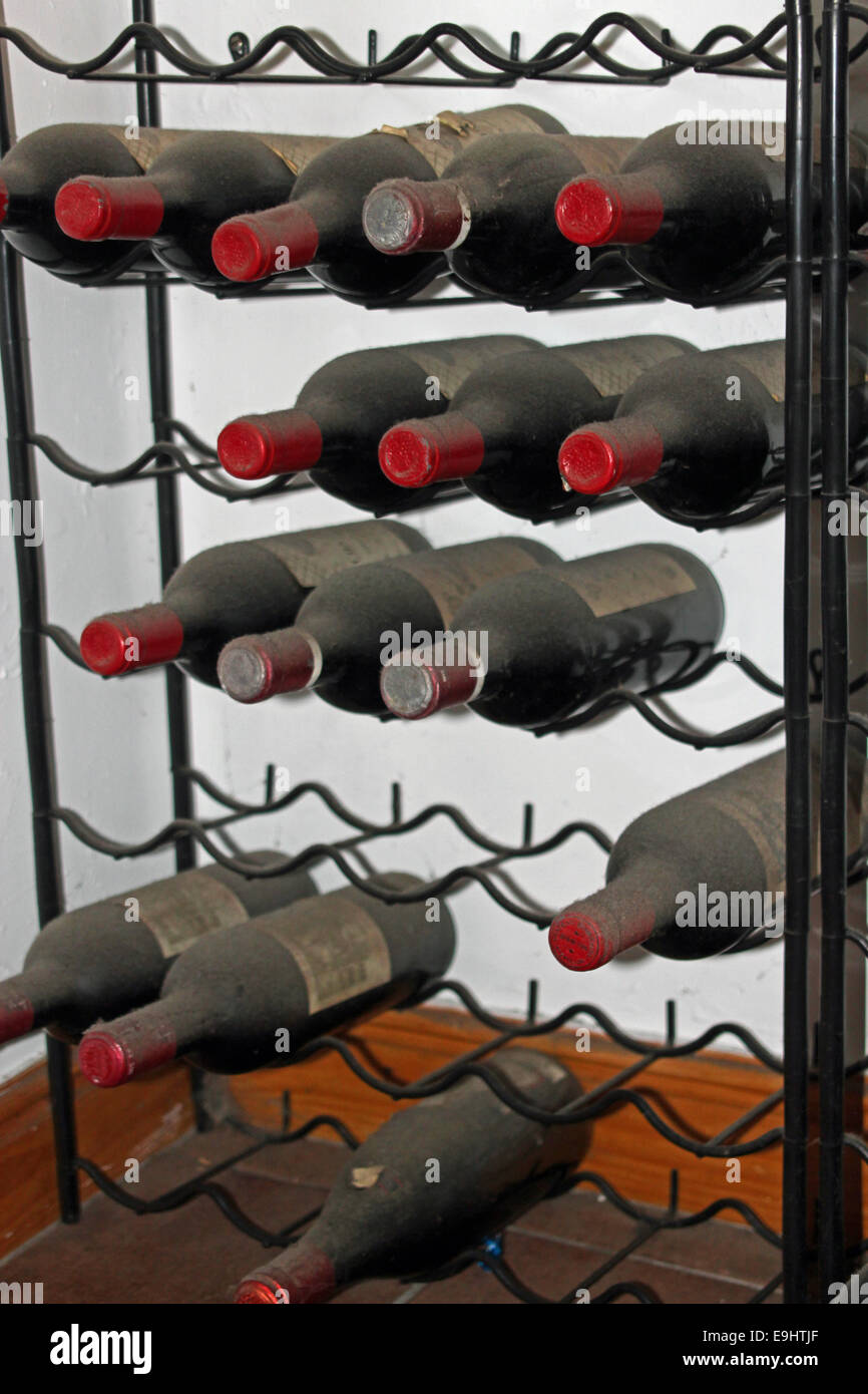 Nahaufnahme eines Wine Rack mit staubigen alten Flaschen Rotwein symbolisiert Jahrgangswein Sammlungen und Feier Stockfoto
