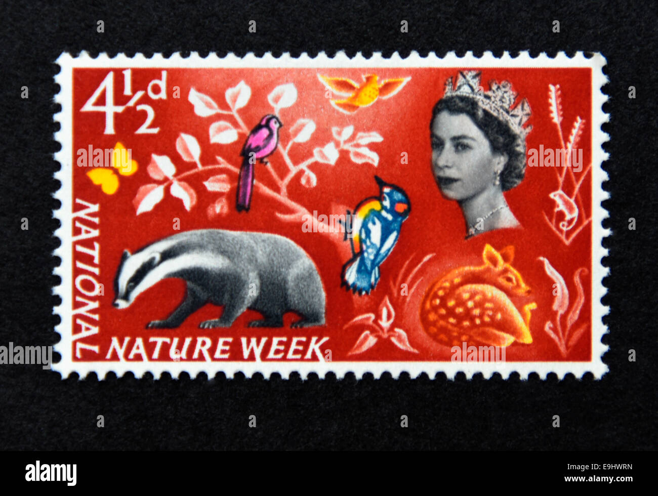 Briefmarke. Great Britain. Königin Elizabeth II. Nationaler Natur Woche 18-25 Mai 1963. Stockfoto