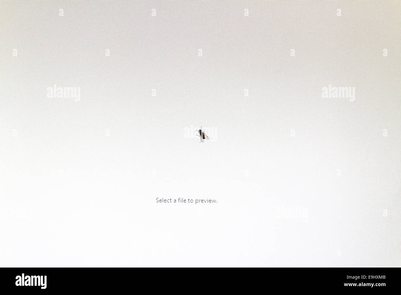 Eine Fliege auf einem Computerbildschirm mit Windows Explorer öffnen Sie in Windows 7 Pro Stockfoto
