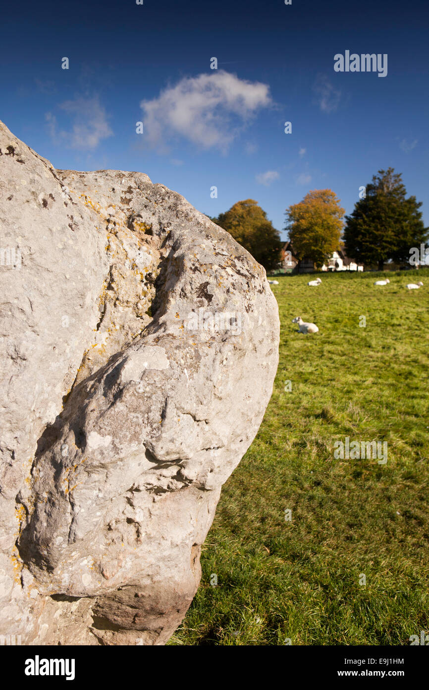 Großbritannien, England, Wiltshire, Avebury, Steinkreis, Schafe weiden unter den wichtigsten Henge Monolithen Stockfoto