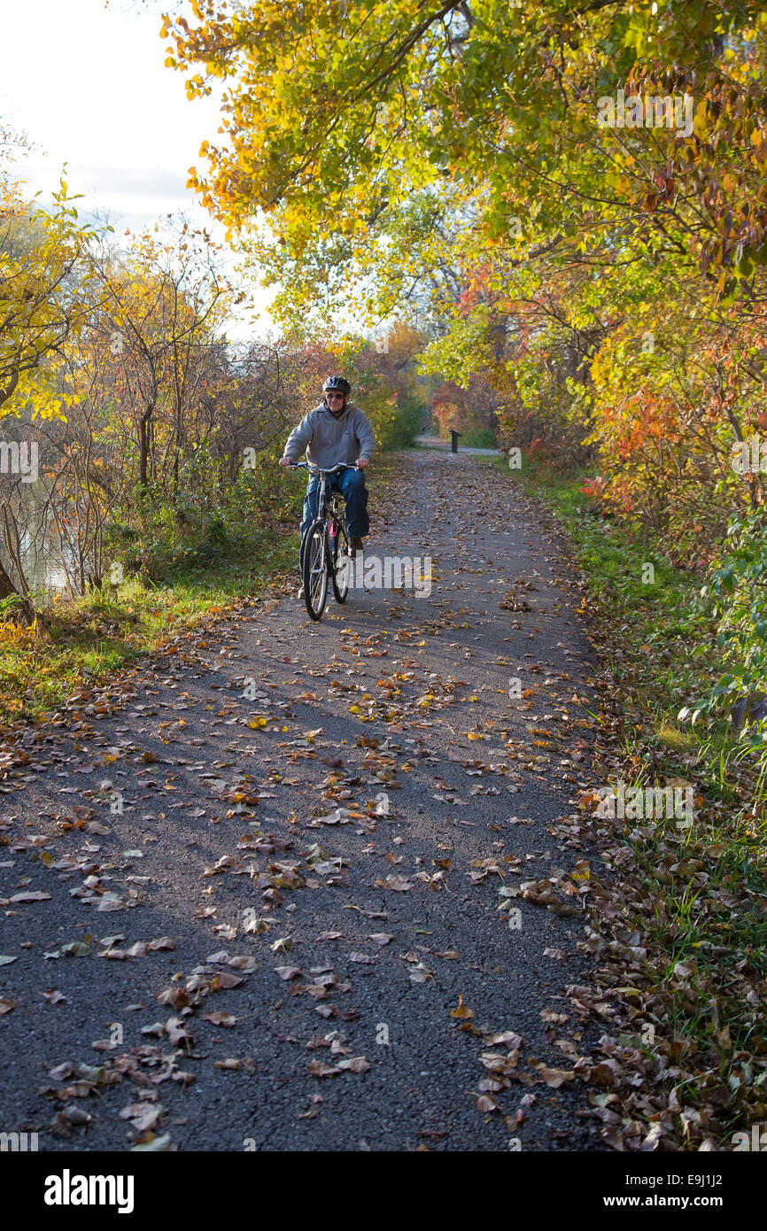 Monroe, Michigan - ein Radfahrer in Sterling State Park. Stockfoto