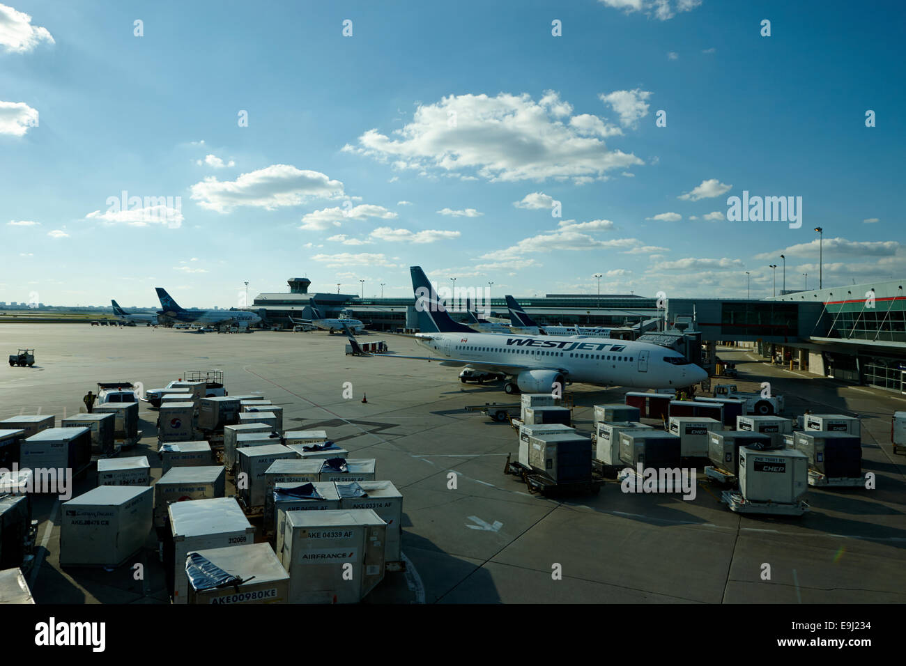WestJet Flugzeuge an terminal 3 Toronto Pearson internationaler Flughafen Kanada Stockfoto