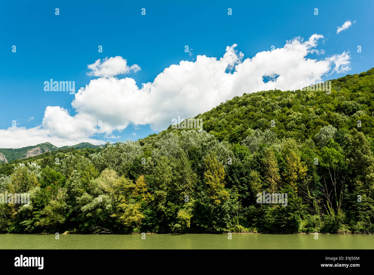 OLT-Fluss In den Karpaten Stockfoto
