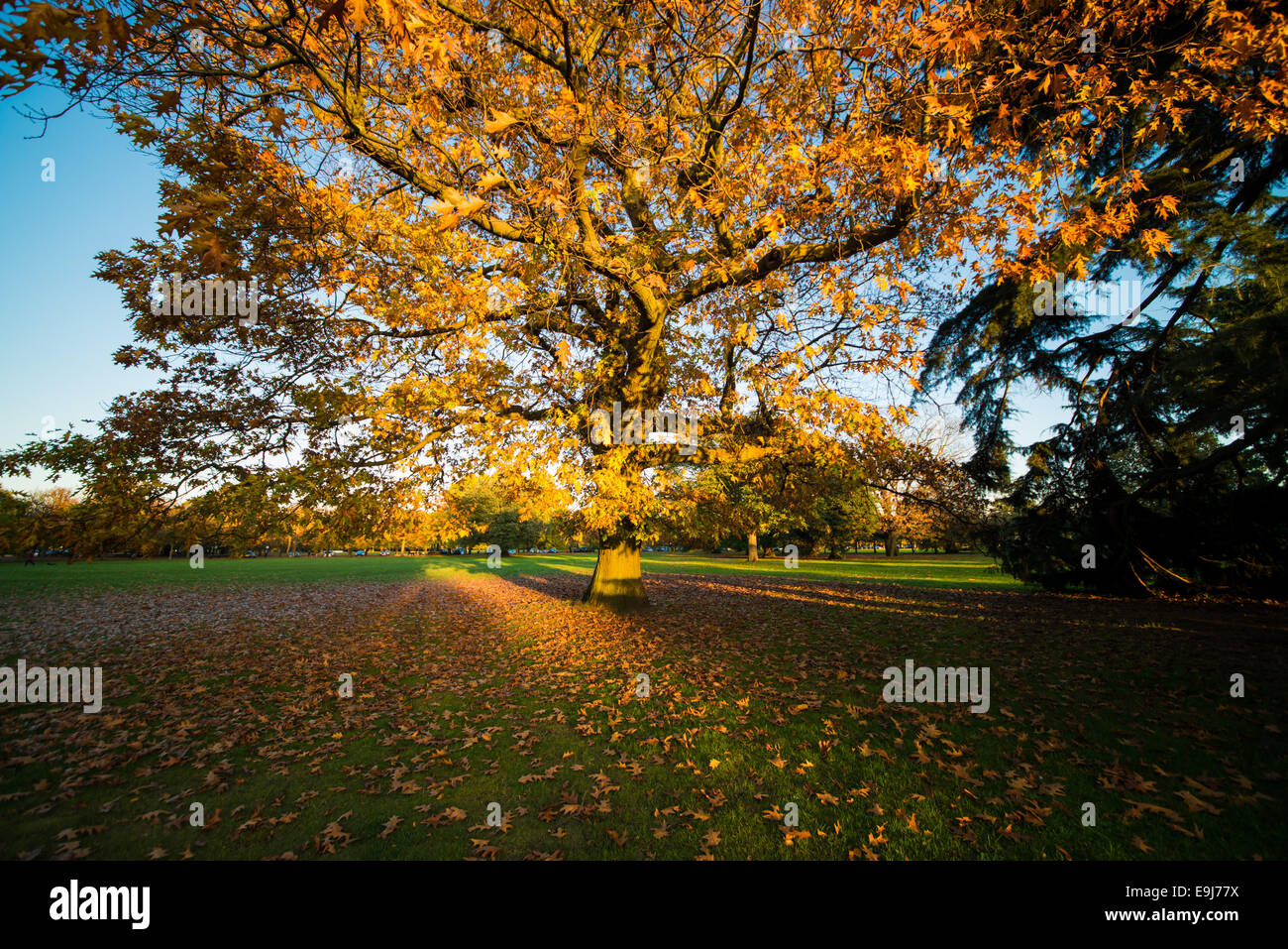 Schönstem Herbstwetter in London zieht Menschen mehr Zeit im Freien zu verbringen. Stockfoto