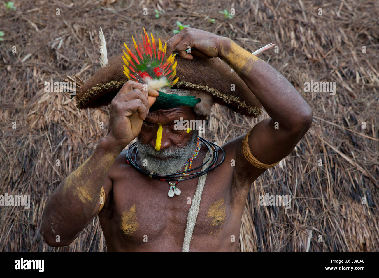 Ein Huli Wigman rekonstruiert seine Perücke, Papua-Neu-Guinea Stockfoto