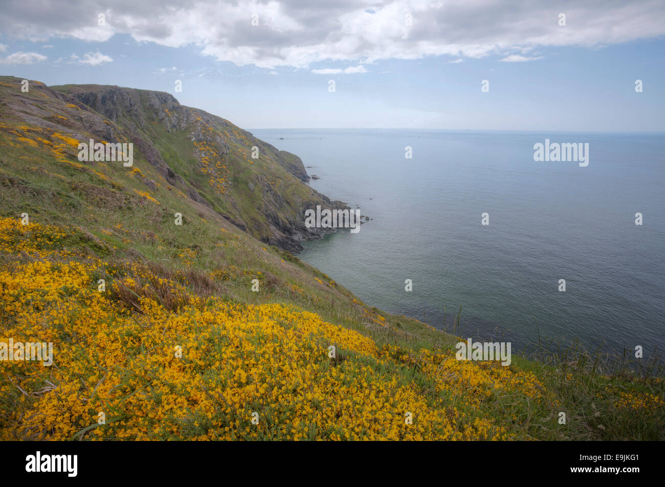 Atlantikküste, Devon, England, Vereinigtes Königreich Stockfoto