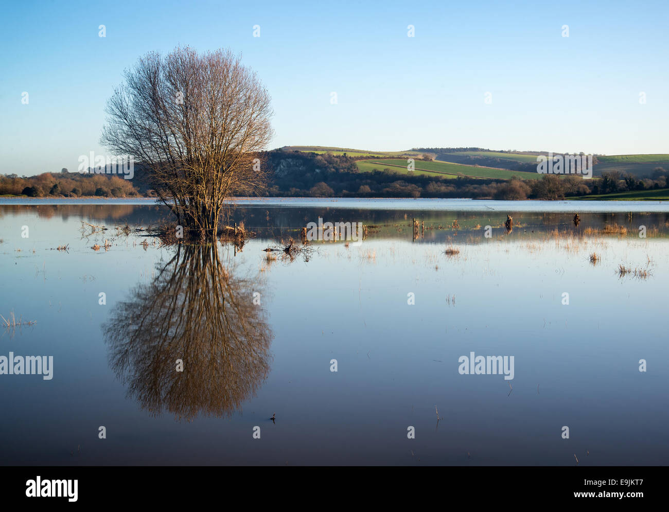 Schöne Landschaft von Überschwemmungsgebieten im Winter mit Spiegelreflexionen Stockfoto