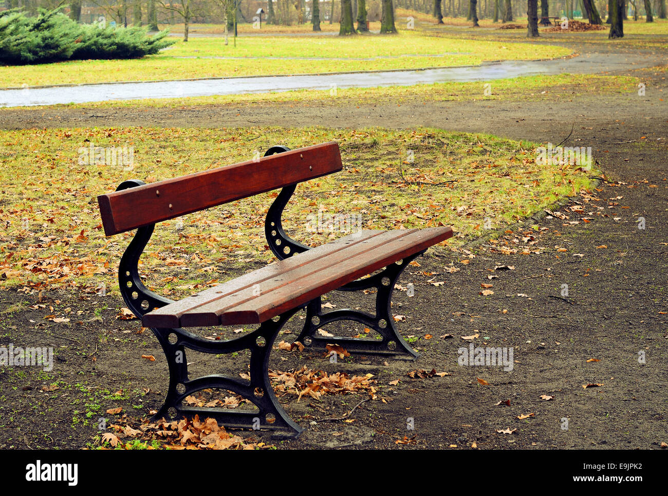 Leere Bank in einem Regen Herbsttag Stockfoto