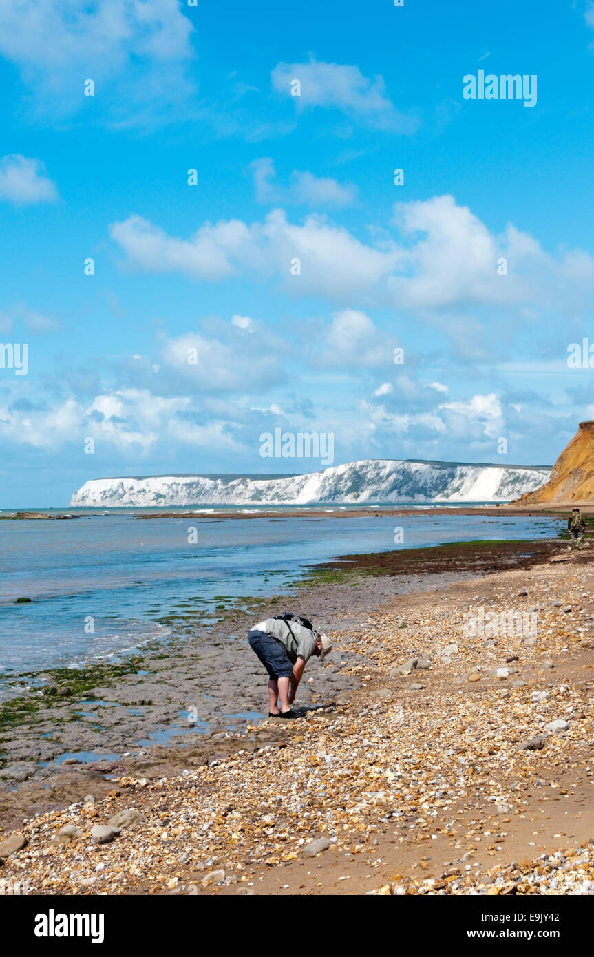 Fossilen Jäger am Strand von Brook Bay, Isle Of Wight. Stockfoto