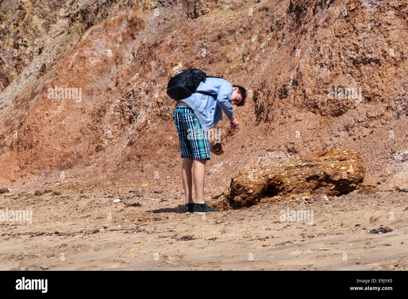 Fossilen Jäger am Strand von Brook Bay, Isle Of Wight. Stockfoto