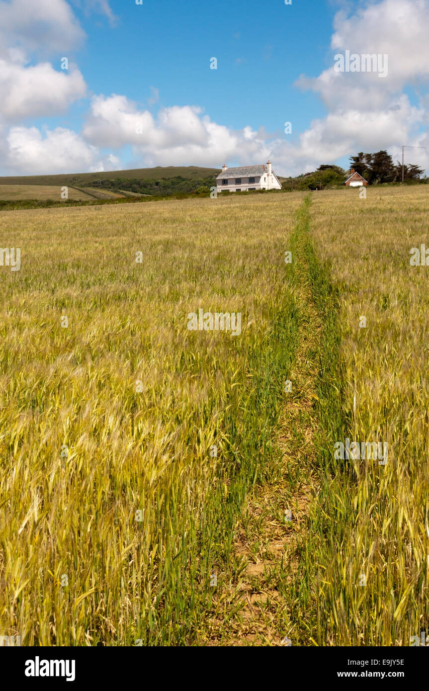 Hamstead überquert der Isle Of Wight von Hamstead an der N-Küste Bach auf der.  Dies ist Ansicht n aus in der Nähe von Bach. Stockfoto