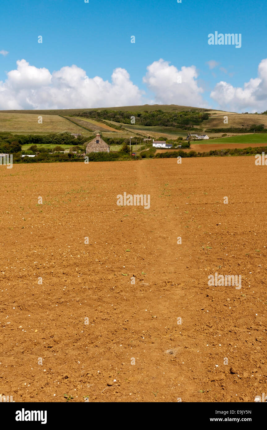 Hamstead überquert der Isle Of Wight von Hamstead an der N-Küste Bach auf der.  Dies ist Ansicht n aus in der Nähe von Bach. Stockfoto