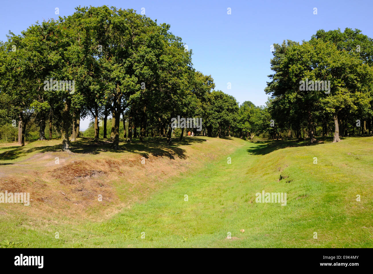 Blick nach Osten entlang der Antoninuswall in Rough Castle, Bonnybridge Stockfoto