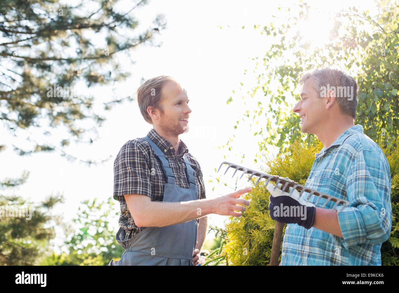 Männliche Gärtner im Gespräch bei Gärtnerei Stockfoto